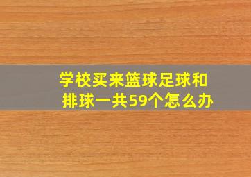 学校买来篮球足球和排球一共59个怎么办