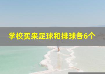 学校买来足球和排球各6个