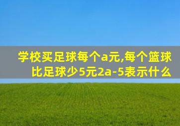 学校买足球每个a元,每个篮球比足球少5元2a-5表示什么