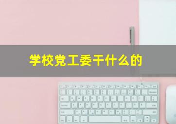 学校党工委干什么的