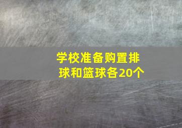 学校准备购置排球和篮球各20个