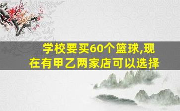 学校要买60个篮球,现在有甲乙两家店可以选择