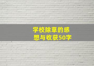 学校除草的感想与收获50字