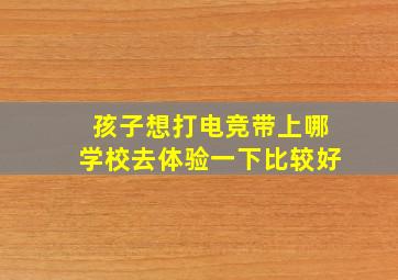 孩子想打电竞带上哪学校去体验一下比较好