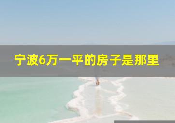 宁波6万一平的房子是那里