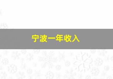 宁波一年收入