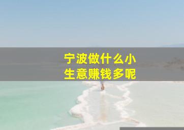 宁波做什么小生意赚钱多呢