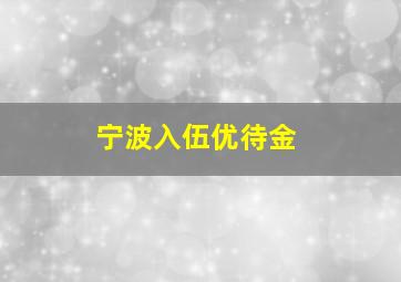 宁波入伍优待金