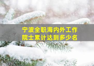 宁波全职海内外工作院士累计达到多少名