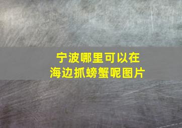 宁波哪里可以在海边抓螃蟹呢图片