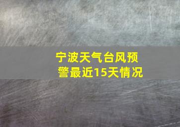 宁波天气台风预警最近15天情况