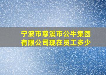 宁波市慈溪市公牛集团有限公司现在员工多少