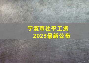 宁波市社平工资2023最新公布