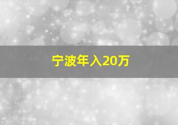 宁波年入20万