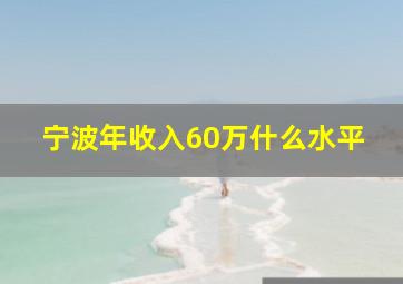 宁波年收入60万什么水平