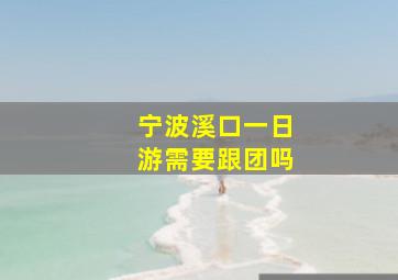 宁波溪口一日游需要跟团吗