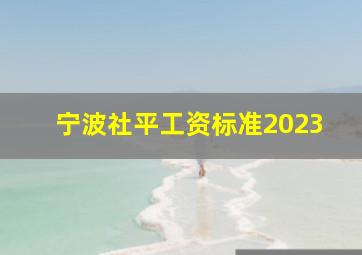 宁波社平工资标准2023