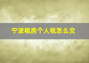 宁波租房个人税怎么交