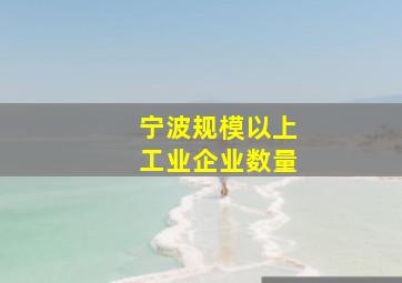 宁波规模以上工业企业数量