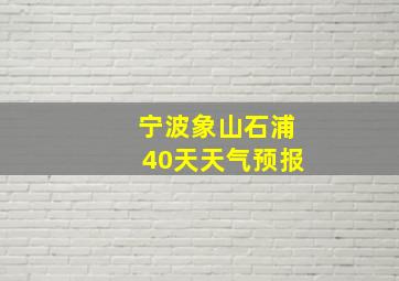 宁波象山石浦40天天气预报