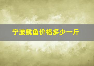 宁波鱿鱼价格多少一斤