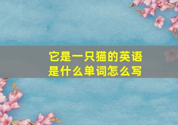 它是一只猫的英语是什么单词怎么写