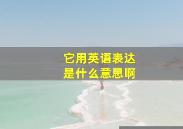 它用英语表达是什么意思啊