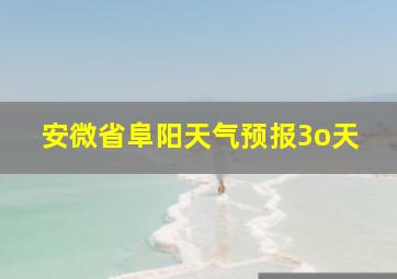 安微省阜阳天气预报3o天