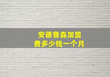 安德鲁森加盟费多少钱一个月