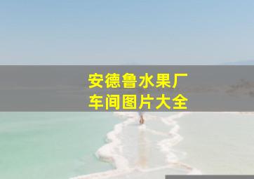 安德鲁水果厂车间图片大全