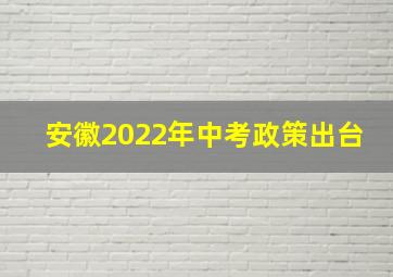 安徽2022年中考政策出台