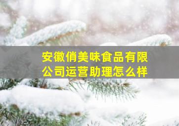 安徽俏美味食品有限公司运营助理怎么样