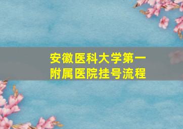 安徽医科大学第一附属医院挂号流程