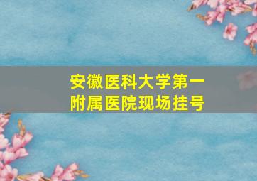 安徽医科大学第一附属医院现场挂号