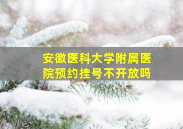 安徽医科大学附属医院预约挂号不开放吗