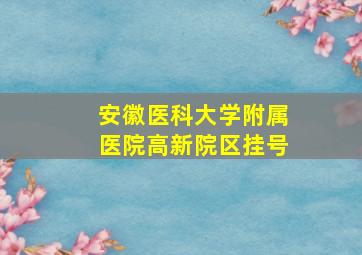 安徽医科大学附属医院高新院区挂号