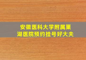 安徽医科大学附属巢湖医院预约挂号好大夫