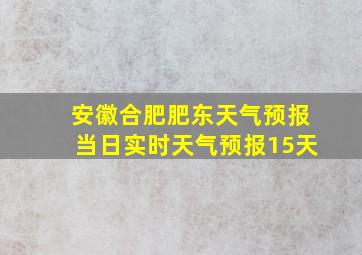 安徽合肥肥东天气预报当日实时天气预报15天