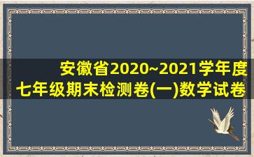 安徽省2020~2021学年度七年级期末检测卷(一)数学试卷