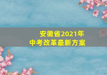 安徽省2021年中考改革最新方案