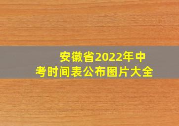 安徽省2022年中考时间表公布图片大全