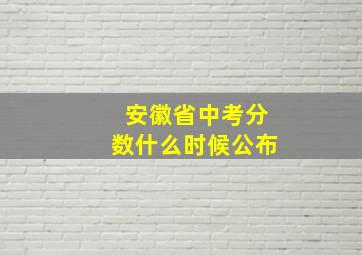 安徽省中考分数什么时候公布