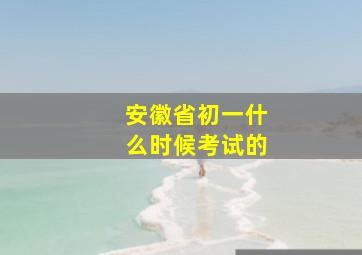 安徽省初一什么时候考试的