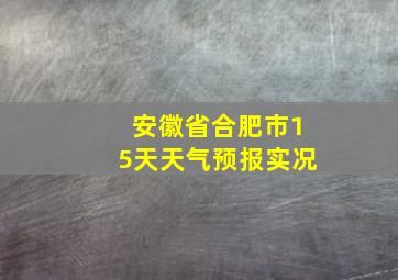 安徽省合肥市15天天气预报实况