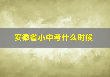 安徽省小中考什么时候