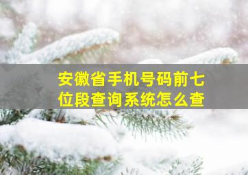 安徽省手机号码前七位段查询系统怎么查