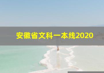 安徽省文科一本线2020