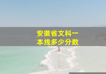 安徽省文科一本线多少分数