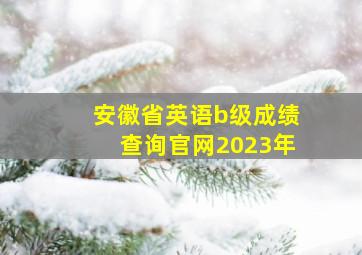 安徽省英语b级成绩查询官网2023年