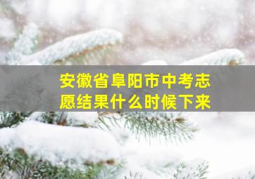 安徽省阜阳市中考志愿结果什么时候下来